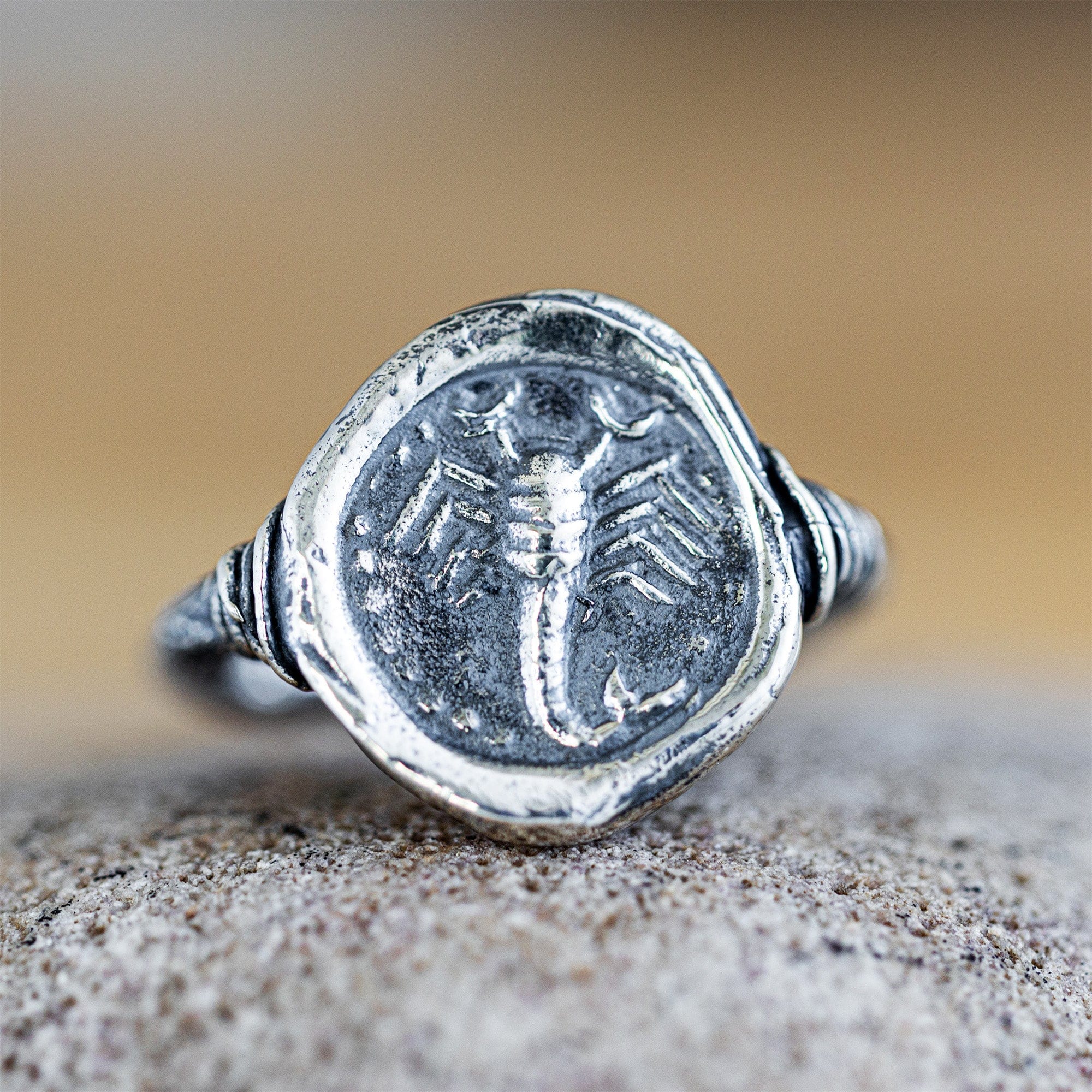 Oxidized 925 Silver Ring with Ancient Scorpion Seal Engraving
