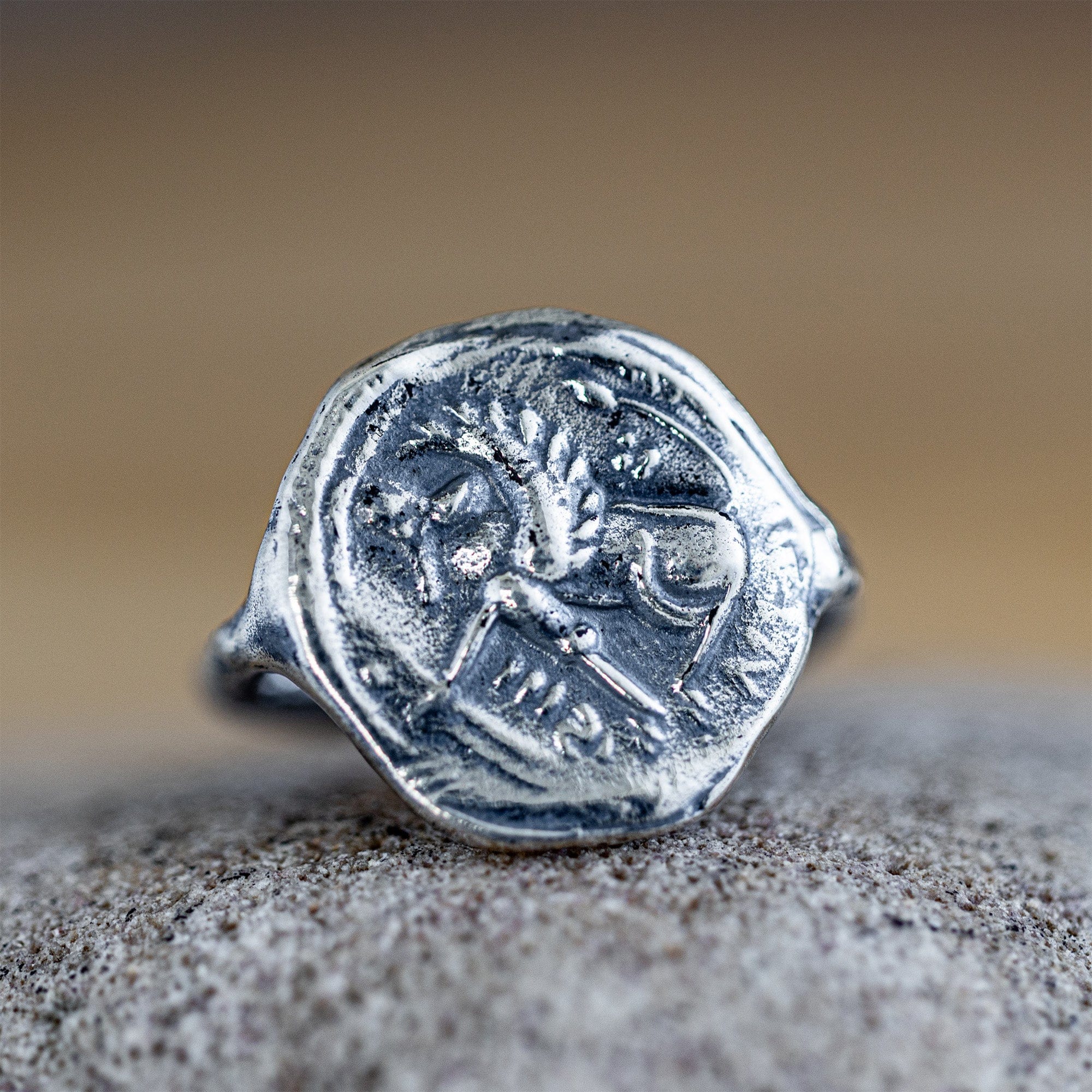 Oxidized 925 Silver Ring with Ancient Winged Steed Seal Engraving