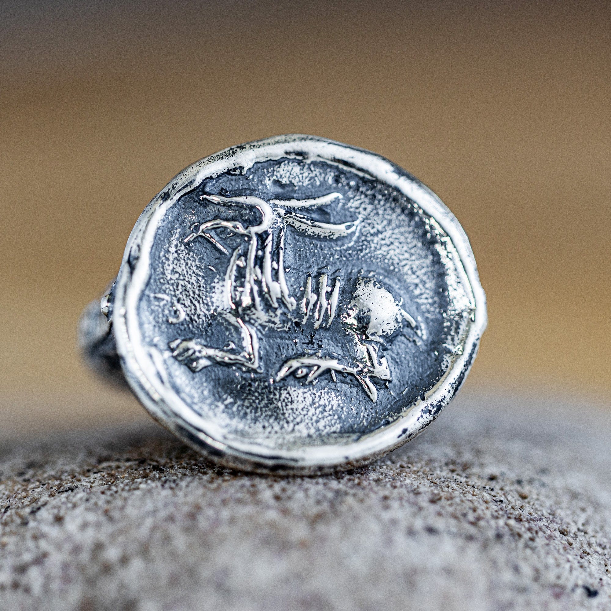 Oxidized 925 Silver Ring with Ancient Celestial Steed Seal